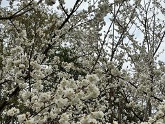 -贵阳市花溪国家城市湿地公园