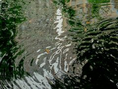 -成都市活水公园