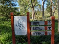 -东郊湿地公园