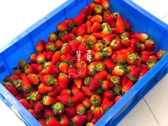 -喜茶(深圳丰盛町店)