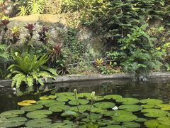 -鼓浪屿钢琴博物馆