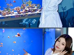 -重庆欢乐海底世界