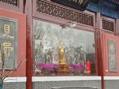 -天津市峰山药王古寺