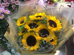 -花草间花行(法华镇路店)