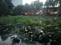 -莲湖公园