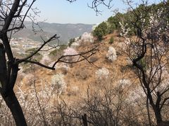 -松本清(CROST大阪站店)