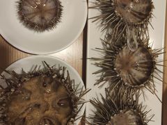 -海胆小馆(东北水饺·春柳店)