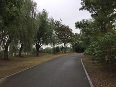 -梁鸿国家湿地公园