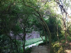 -武夷山风景名胜区-虎啸岩