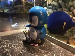 -成都浩海立方海洋公园