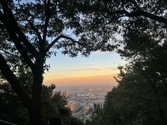 -惠山国家森林公园