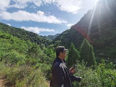 -秦岭风景区