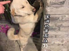 -夹夹大·蟹蟹大排档(财富又一城店)