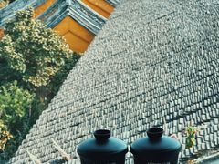-仙雨林·奶茶鲜果茶(书院巷店)