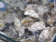 -渔民船说·北塘海鲜·天津菜·海肠捞饭(北塘古镇店)