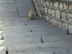 -四门塔风景区