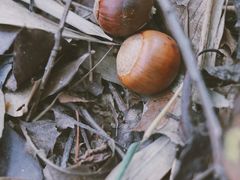 -南京市无想山景区