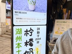 -猫的魔法密林(衣裳街店)