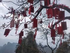 -老君山风景名胜区