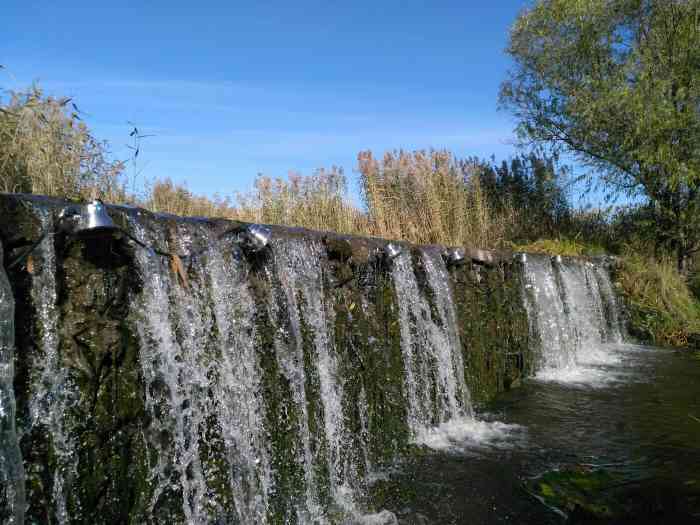  !doctype html> html lang="zh-cn"> head> meta charset