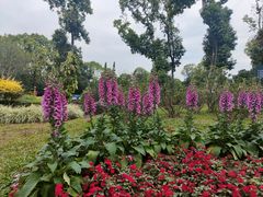 -东莞植物园