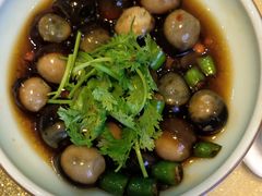 -骆驼阿三饭店(迪赛邻里店)
