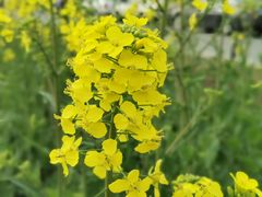 -中国天府农业博览园