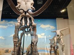 -国家自然博物馆