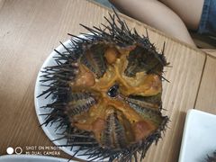 -海胆小馆(东北水饺·春柳店)