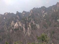 -王顺山国家森林公园