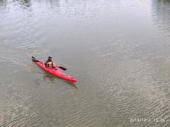 -皇粮浜湿地公园