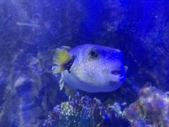 -太平洋海底世界