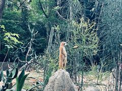 -广州长隆野生动物世界