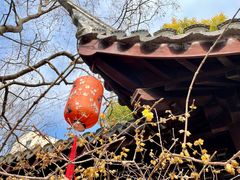 -上海醉白池公园