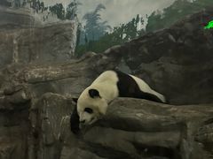 -鄂尔多斯野生动物园