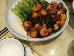 -新侨小馆(东直门北小街店)