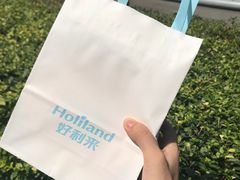 -蒲公英(五里店)