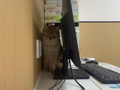 -瑞派康怡24h宠物医院·犬猫医疗中心·微创绝育(瑞景分院)