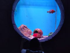-左海海底世界