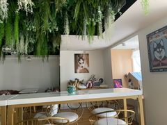 -Husky Go! 哈士奇体验馆·宠物咖啡厅狗咖