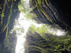 -梭布垭石林景区