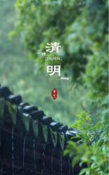 -雅曼妮spa美容养生