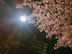 -井之头恩赐公园