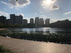 -新江湾城公园