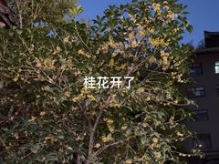 -罔极寺