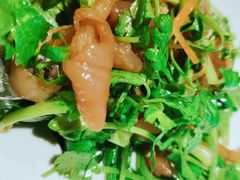 -开海·红岛海鲜虾水饺(石老人店)