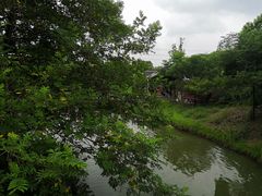 -梁鸿国家湿地公园