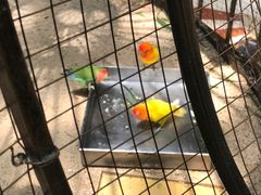 -茵特拉根酒店·西餐厅