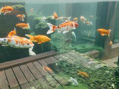 -宁波杭州湾国家湿地公园