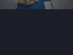-宠物寄养训练学校